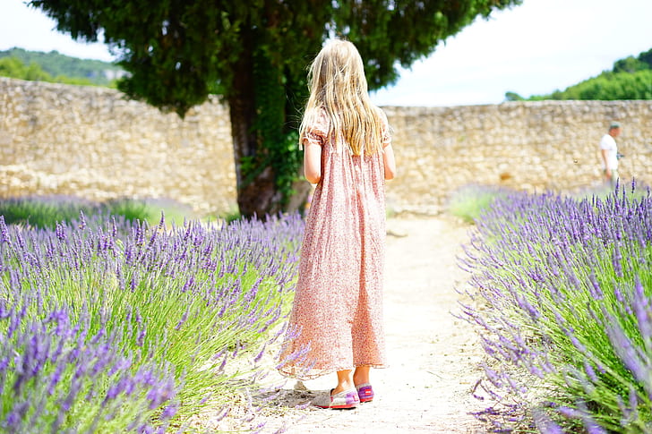 girl wearing pink dress beside lavender flower field