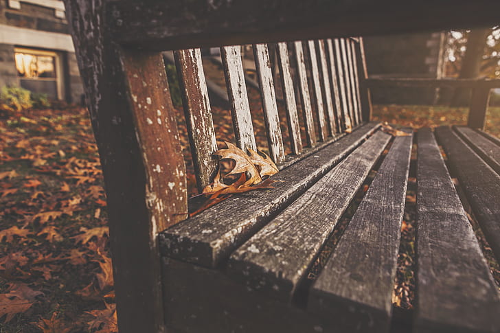 close-up photo of brown wooden bench