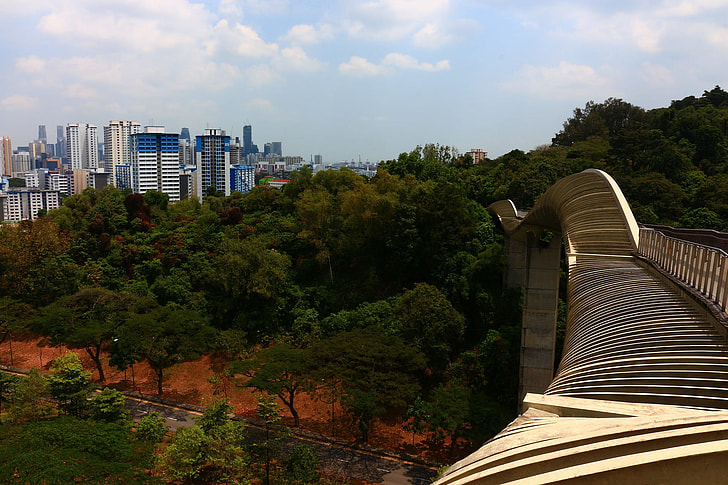 green trees and high rise buildings during daytime