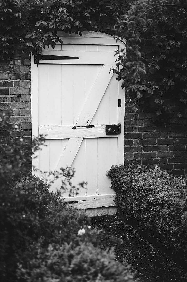 closed white wooden door surrounded with bushes