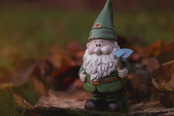 shallow focus photography of gnome