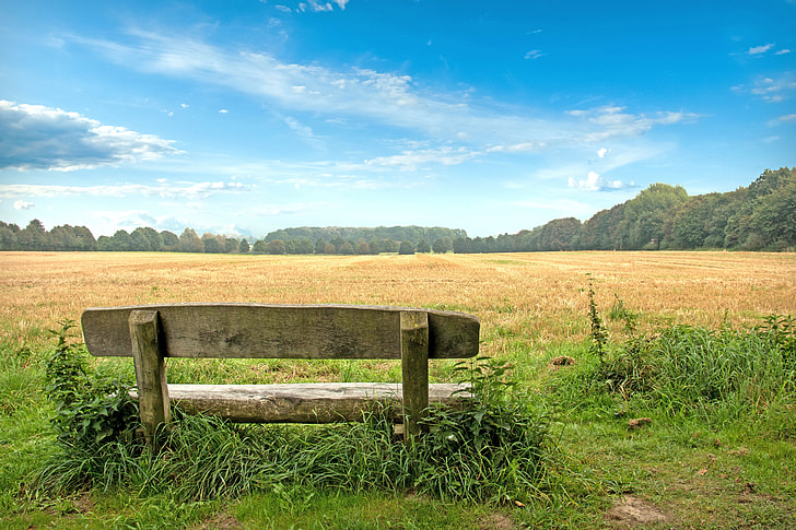 brown bench in front of brown field under blue calm sky