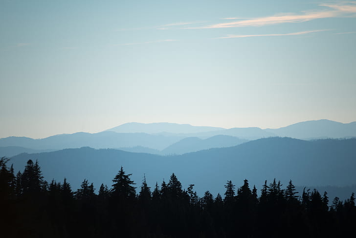 selective focus photography of trees and mountains