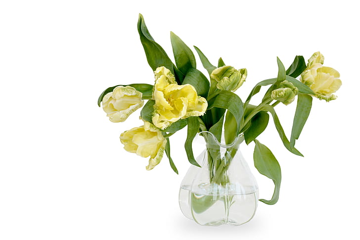 yellow tulips in clear glass vase centerpiece