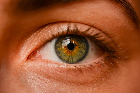 person with green and black eyes in close up photo