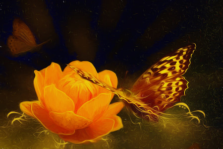 brown and black butterfly hovering near orange petaled flower illustration