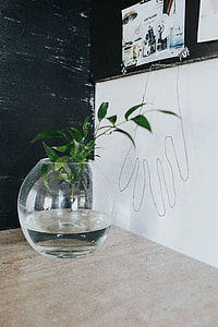 Home decor with green plants