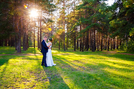 prenuptial photograph of couple on green grass field in-front of pine trees