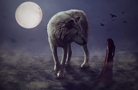 woman beside a gray wolf during nighttime
