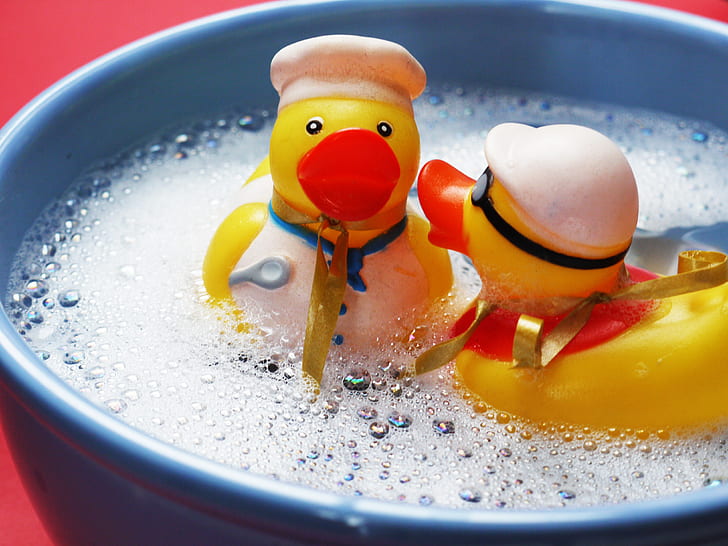 two yellow duckling plastic toys on bowl