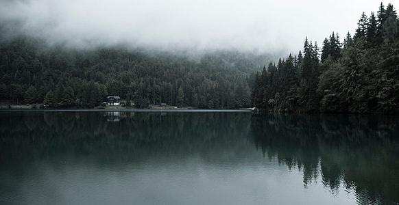 photo of body of water under cloudy sky