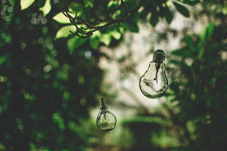 close-up photography of LED bulb hanging on green leaf tree