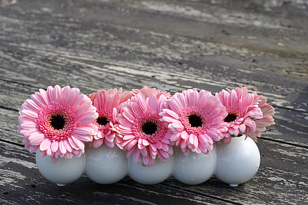 pink petaled flowers on white ceramic vase