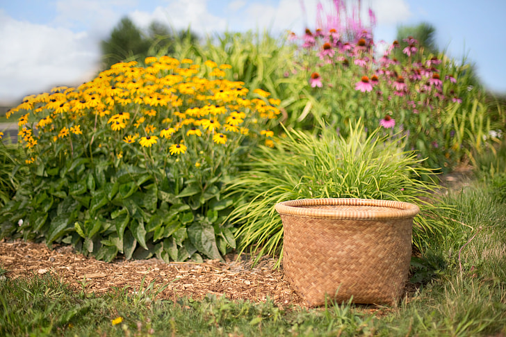 beige wicker basket on grass field beside yellow flowers during daytime