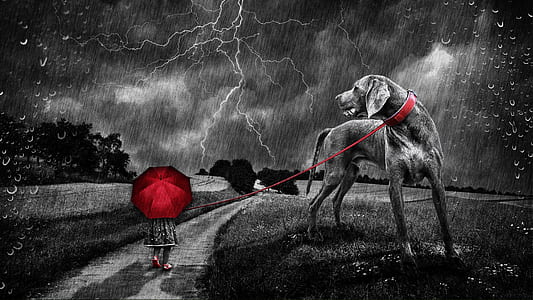 selective color photography of girl walking on road holding red umbrella with leashed great dane painting
