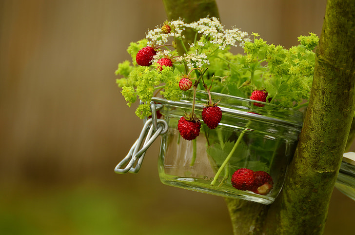 red strawberry fruits with green leaves