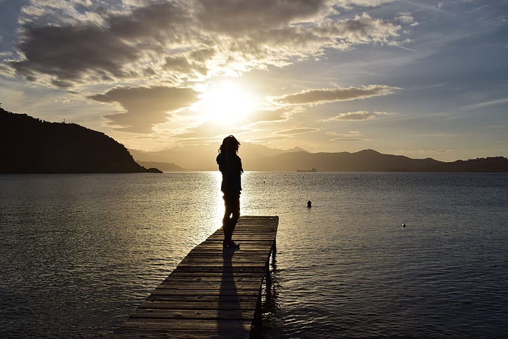 silhouette of person on brown wooden dock during twilight