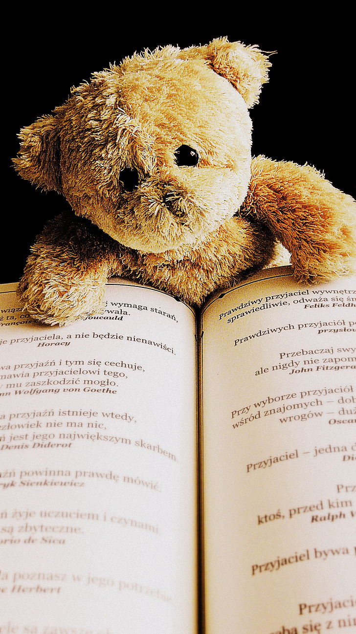 brown bear plush toy on book page
