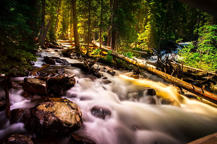 timelapse photography of river in the middle of forest