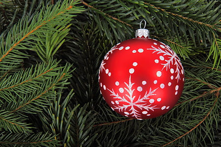red and grey snowflake printed ornament on Christmas tree