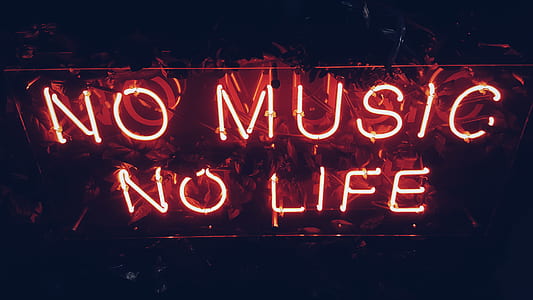 red No Music No Life neon signage