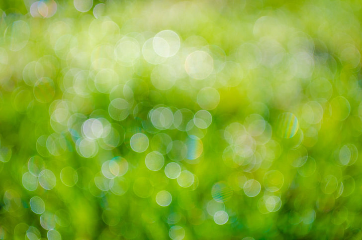 green, bokeh, photography, background, abstract, plant