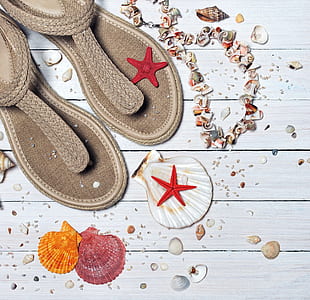pair of brown knitted sandals with assorted-color-and-shape seashells