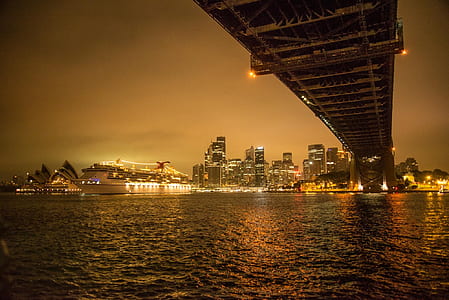 suspension bridge near city building during nighttime