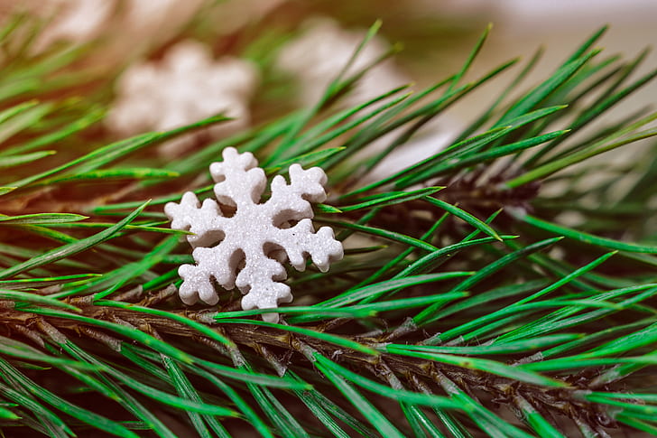 white snowflake ornament on green leaves