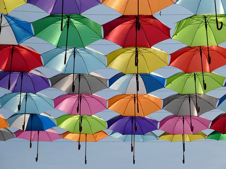 assorted-color handheld umbrella