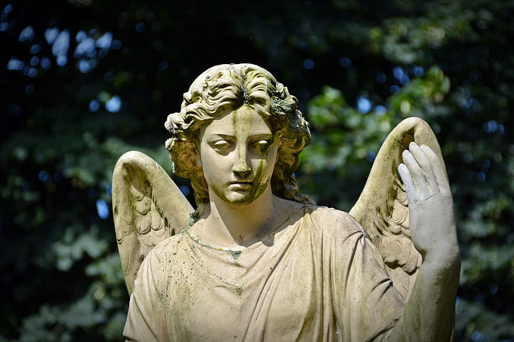 selective focus photography of angel concrete statue