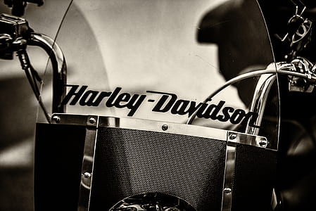 Graysacle Photography of Black Harley-davidson Motorcycle