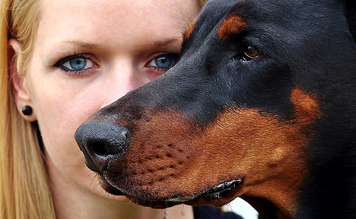closeup photo of woman beside adult black and mahogany rottweiler