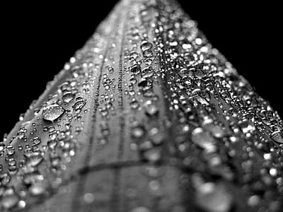 macro photography black water droplets on black surface