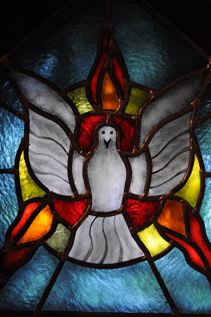 white and red bird stained glass