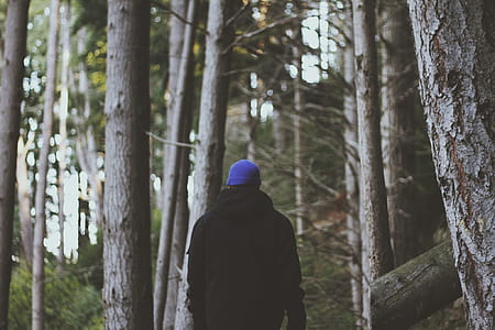 person wearing black jacket walking in the woods