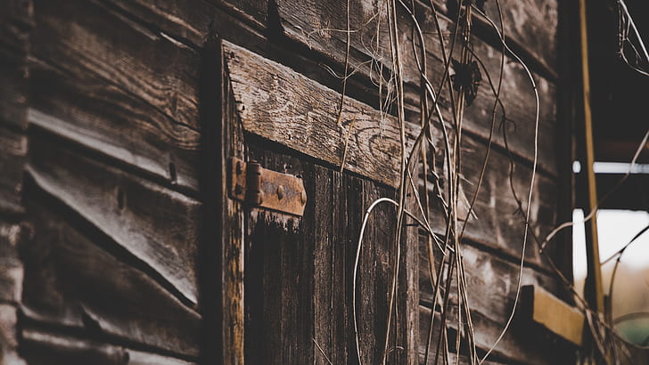 Close Up Photo of Gray Wooden Door