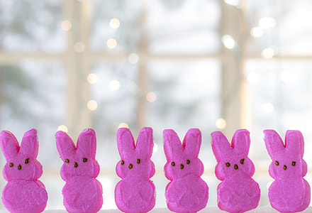 six pink rabbit decors
