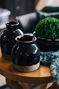 Green plant with black pots and a soft cyan rug