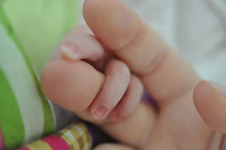 photography of infant and person holding hands