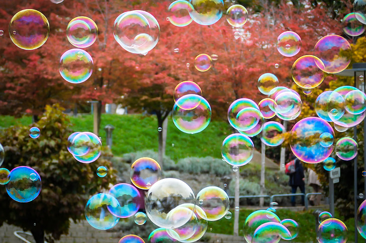 clear bubble lot