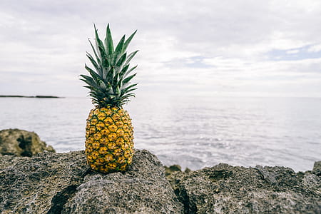 pineapple fruit on gray rock monolith
