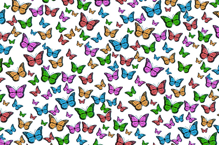multicolored butterfly print