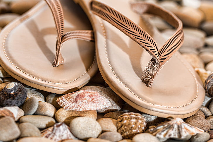 pair of brown leather flip-flops on seashells