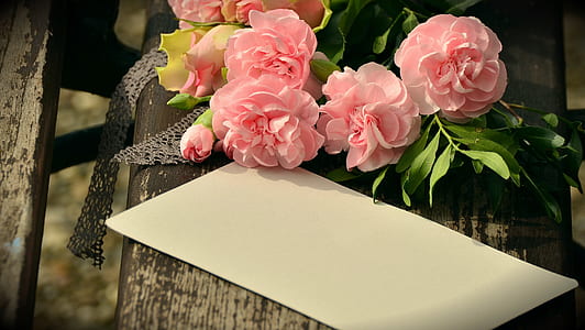 pink flowers beside white paper