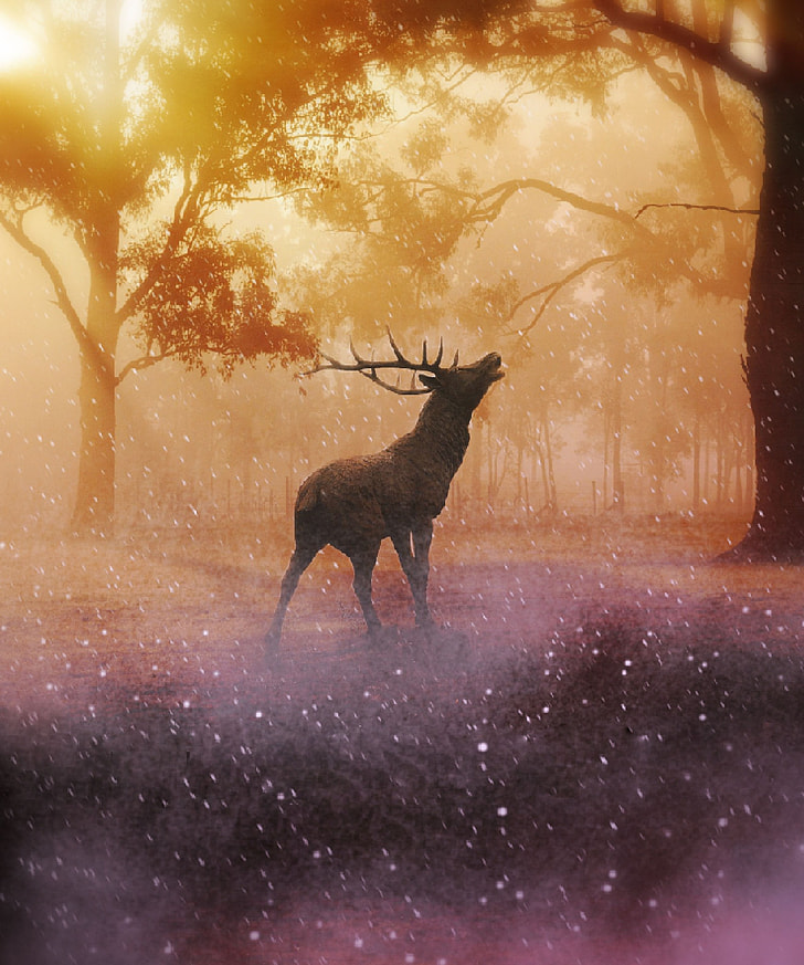 brown deer painting