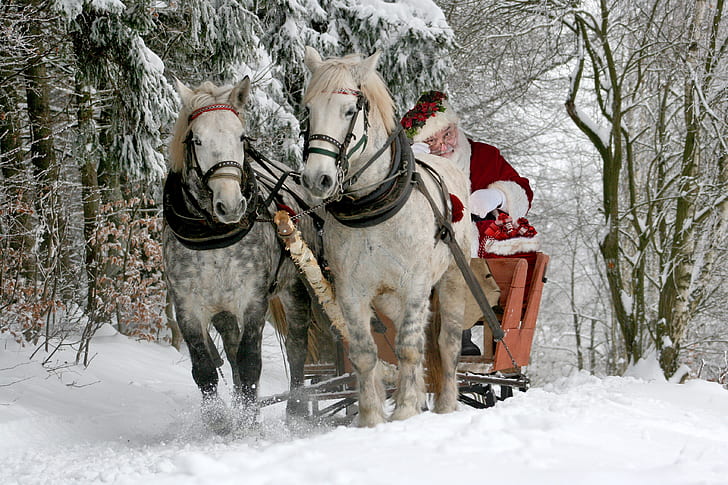 Santa Claus riding sleigh with two white horses beside brown bare trees during daytime