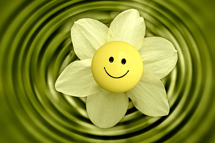 white petaled flower with smile sticker
