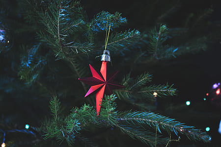 Photo of Red Christmas Tree Decor