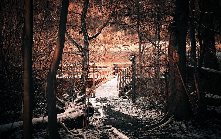 brown wooden bridge near woods